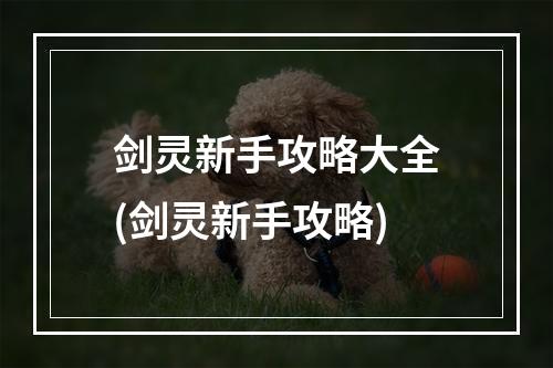 剑灵新手攻略大全(剑灵新手攻略)