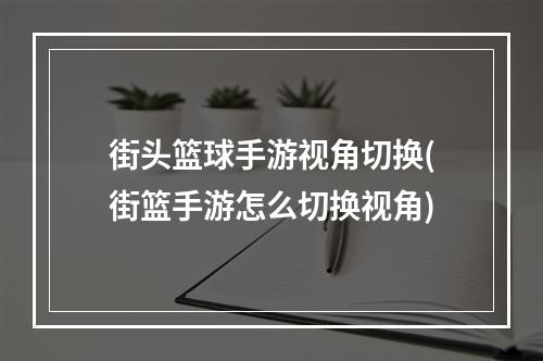 街头篮球手游视角切换(街篮手游怎么切换视角)