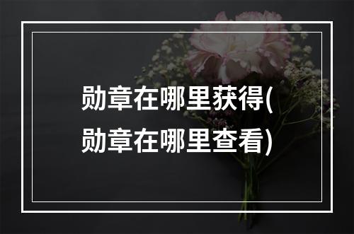 勋章在哪里获得(勋章在哪里查看)