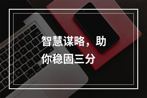 智慧谋略，助你稳固三分