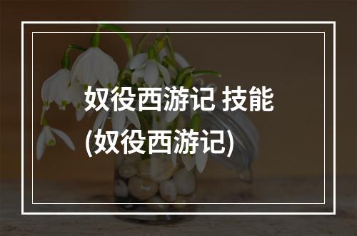 奴役西游记 技能(奴役西游记)