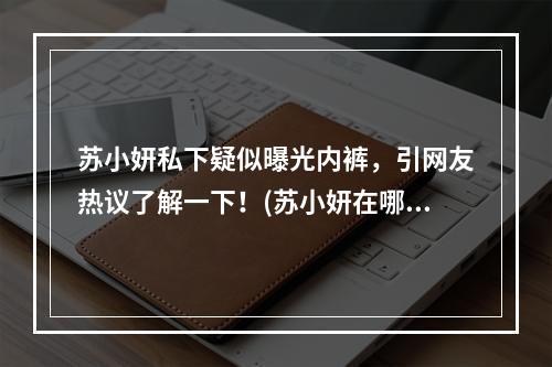 苏小妍私下疑似曝光内裤，引网友热议了解一下！(苏小妍在哪直播的)(揭秘苏小妍直播漏内裤事件中的背后真相(苏小妍在哪直播的))