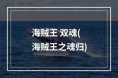 海贼王 双魂(海贼王之魂归)