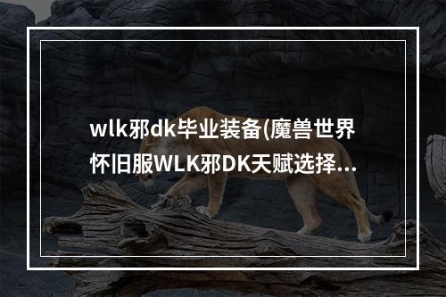 wlk邪dk毕业装备(魔兽世界怀旧服WLK邪DK天赋选择推荐 邪DK天赋加什么 )