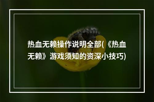 热血无赖操作说明全部(《热血无赖》游戏须知的资深小技巧)