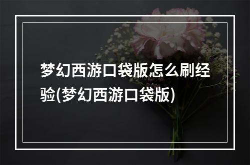 梦幻西游口袋版怎么刷经验(梦幻西游口袋版)