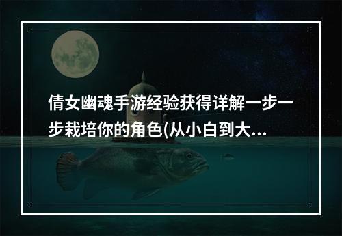 倩女幽魂手游经验获得详解一步一步栽培你的角色(从小白到大佬)怎么升级快？