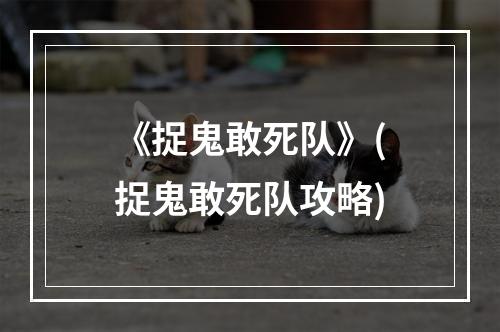 《捉鬼敢死队》(捉鬼敢死队攻略)