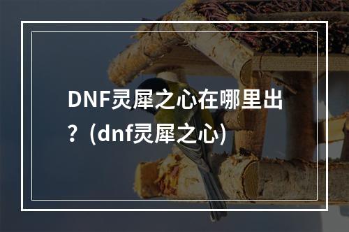 DNF灵犀之心在哪里出？(dnf灵犀之心)