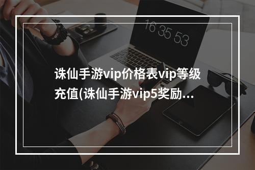 诛仙手游vip价格表vip等级充值(诛仙手游vip5奖励)