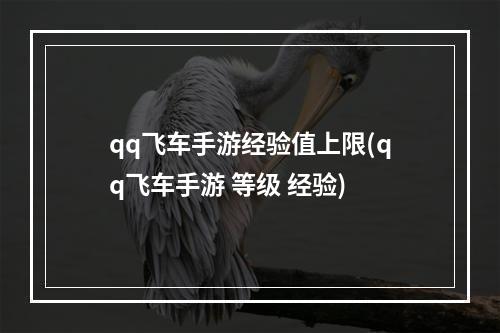 qq飞车手游经验值上限(qq飞车手游 等级 经验)