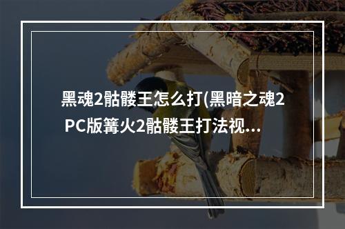 黑魂2骷髅王怎么打(黑暗之魂2 PC版篝火2骷髅王打法视频攻略)