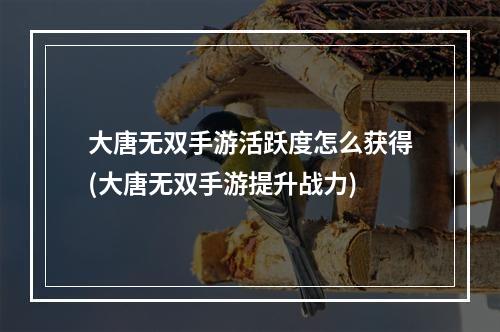 大唐无双手游活跃度怎么获得(大唐无双手游提升战力)