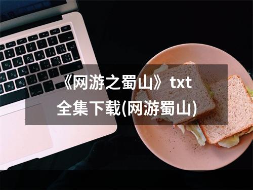 《网游之蜀山》txt全集下载(网游蜀山)