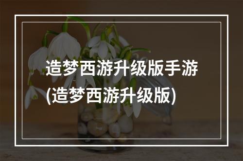 造梦西游升级版手游(造梦西游升级版)