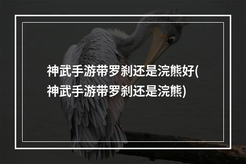 神武手游带罗刹还是浣熊好(神武手游带罗刹还是浣熊)