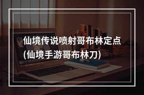 仙境传说喷射哥布林定点(仙境手游哥布林刀)