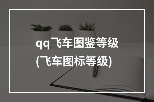 qq飞车图鉴等级(飞车图标等级)