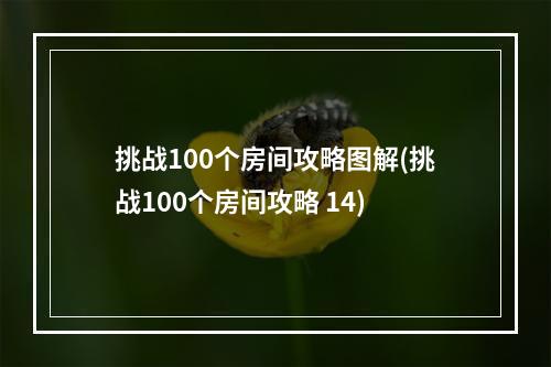 挑战100个房间攻略图解(挑战100个房间攻略 14)