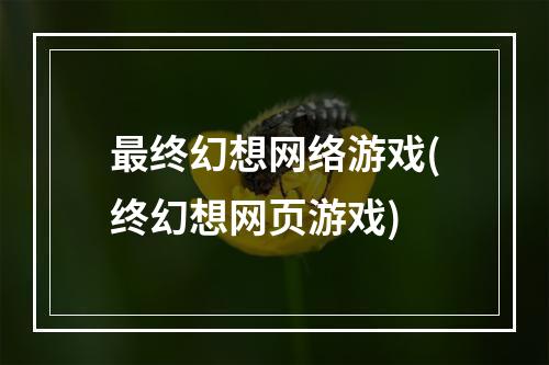 最终幻想网络游戏(终幻想网页游戏)