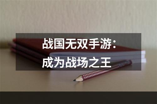 战国无双手游：成为战场之王