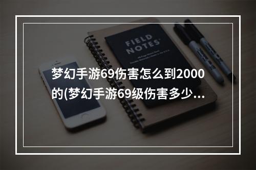 梦幻手游69伤害怎么到2000的(梦幻手游69级伤害多少)