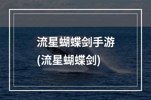 流星蝴蝶剑手游(流星蝴蝶剑)