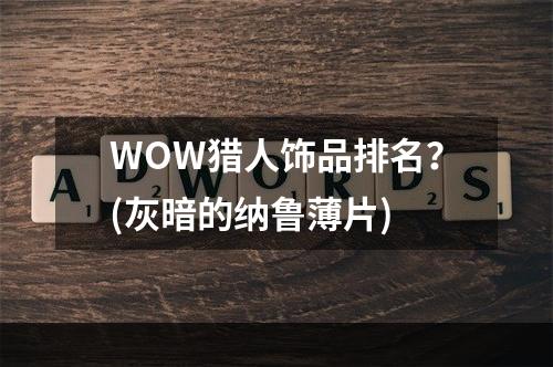 WOW猎人饰品排名？(灰暗的纳鲁薄片)