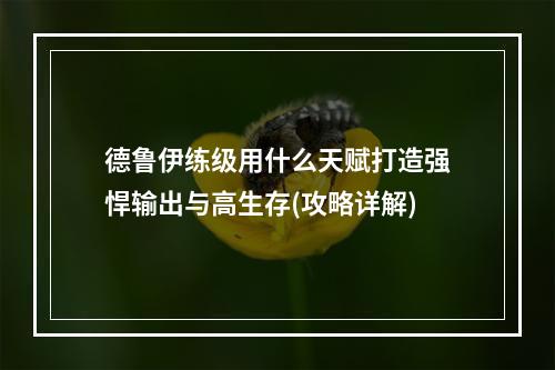 德鲁伊练级用什么天赋打造强悍输出与高生存(攻略详解)