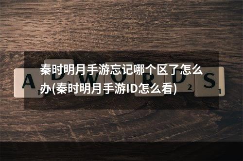 秦时明月手游忘记哪个区了怎么办(秦时明月手游ID怎么看)