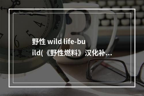 野性 wild life-build(《野性燃料》汉化补丁报错按键失灵解决办法 )