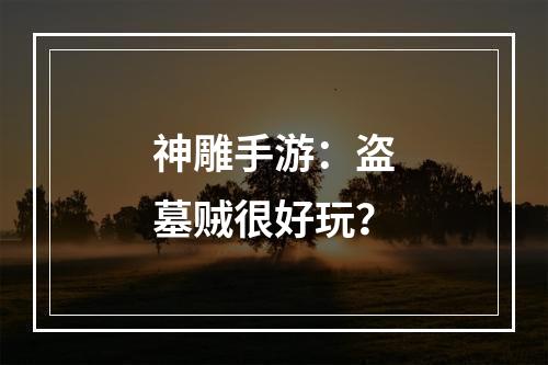 神雕手游：盗墓贼很好玩？