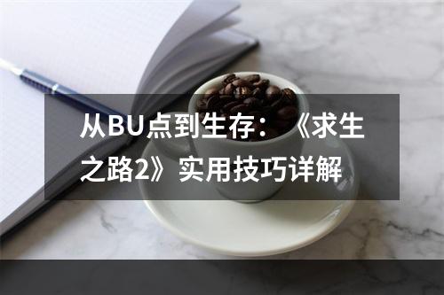 从BU点到生存：《求生之路2》实用技巧详解