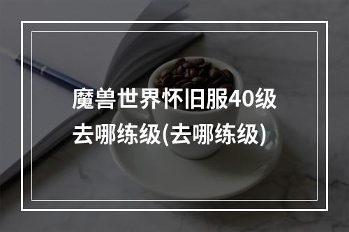 魔兽世界怀旧服40级去哪练级(去哪练级)