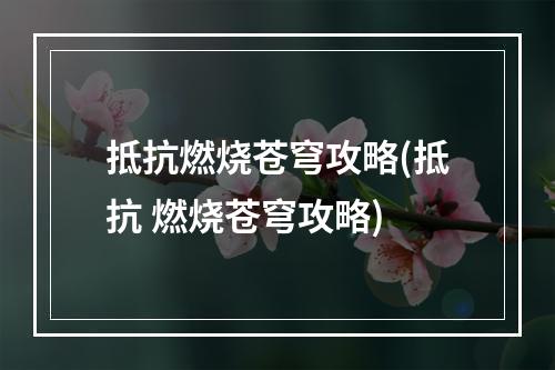 抵抗燃烧苍穹攻略(抵抗 燃烧苍穹攻略)