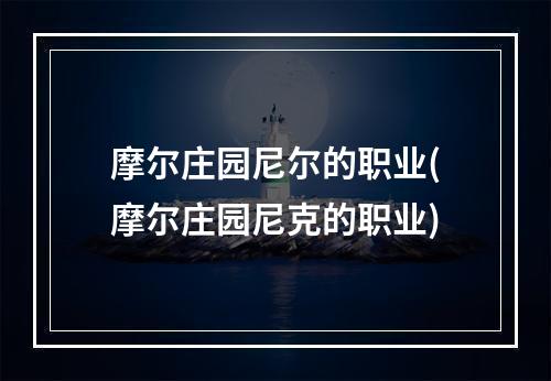 摩尔庄园尼尔的职业(摩尔庄园尼克的职业)