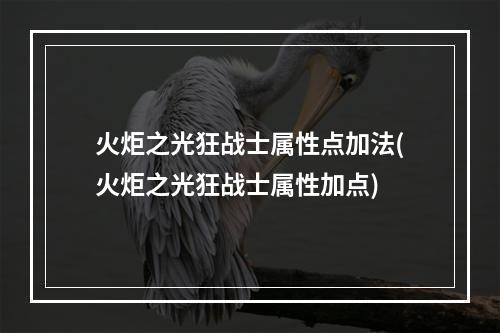 火炬之光狂战士属性点加法(火炬之光狂战士属性加点)