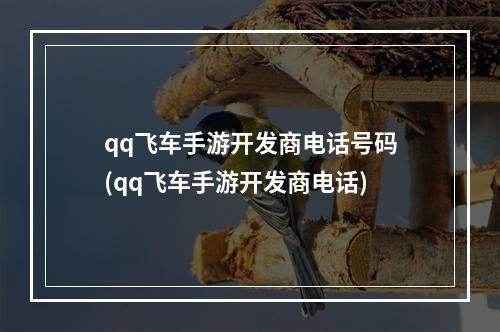 qq飞车手游开发商电话号码(qq飞车手游开发商电话)