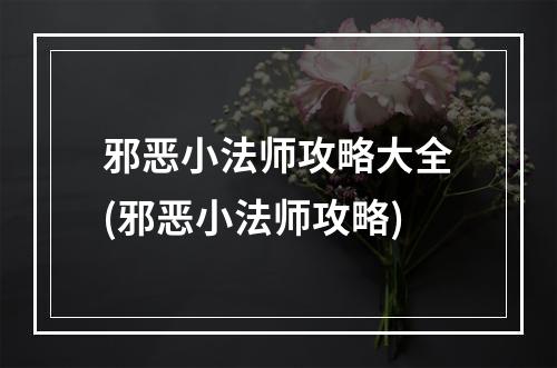 邪恶小法师攻略大全(邪恶小法师攻略)