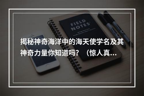 揭秘神奇海洋中的海天使学名及其神奇力量你知道吗？（惊人真相海天使居然是这个名字！）