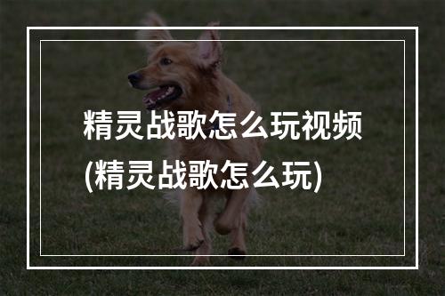 精灵战歌怎么玩视频(精灵战歌怎么玩)