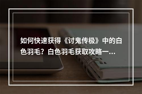 如何快速获得《讨鬼传极》中的白色羽毛？白色羽毛获取攻略一览