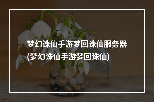 梦幻诛仙手游梦回诛仙服务器(梦幻诛仙手游梦回诛仙)