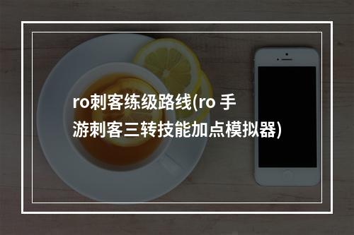 ro刺客练级路线(ro 手游刺客三转技能加点模拟器)