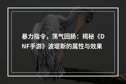 暴力指令，荡气回肠：揭秘《DNF手游》波堤斯的属性与效果