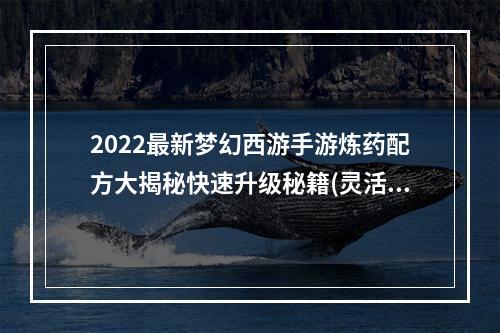 2022最新梦幻西游手游炼药配方大揭秘快速升级秘籍(灵活运用)