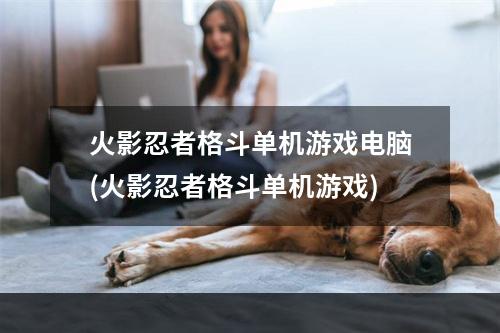 火影忍者格斗单机游戏电脑(火影忍者格斗单机游戏)