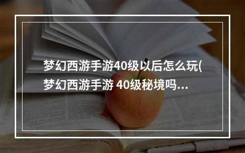 梦幻西游手游40级以后怎么玩(梦幻西游手游 40级秘境吗)