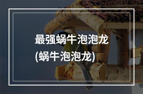 最强蜗牛泡泡龙(蜗牛泡泡龙)