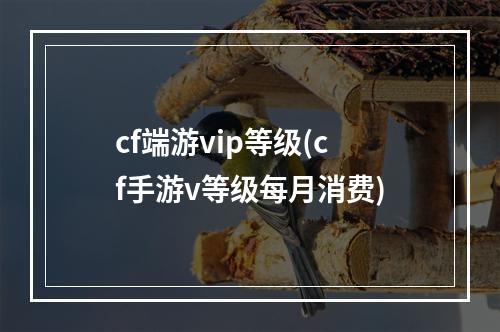 cf端游vip等级(cf手游v等级每月消费)